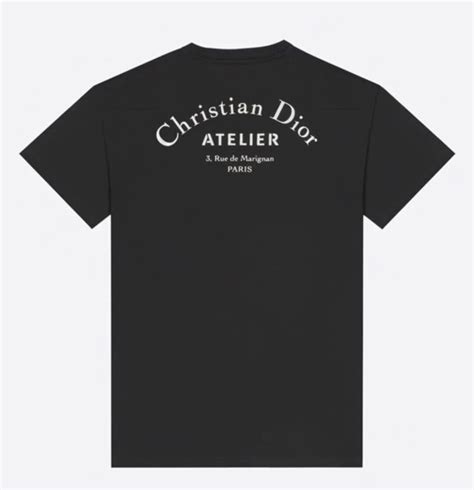 christian dior grey t shirt|Christian Dior t shirts men's.